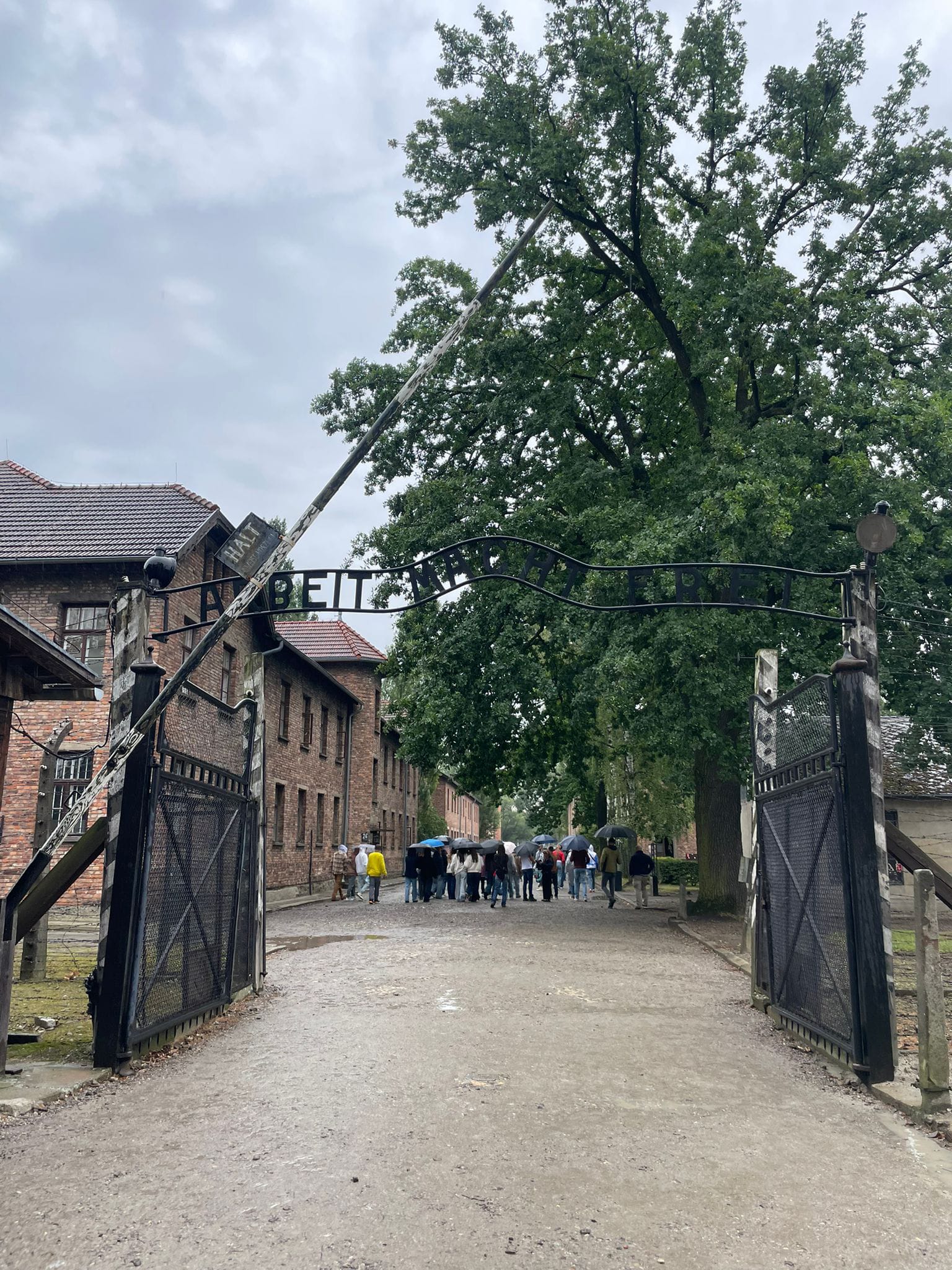 Bild 5 von Gedenkstein 01