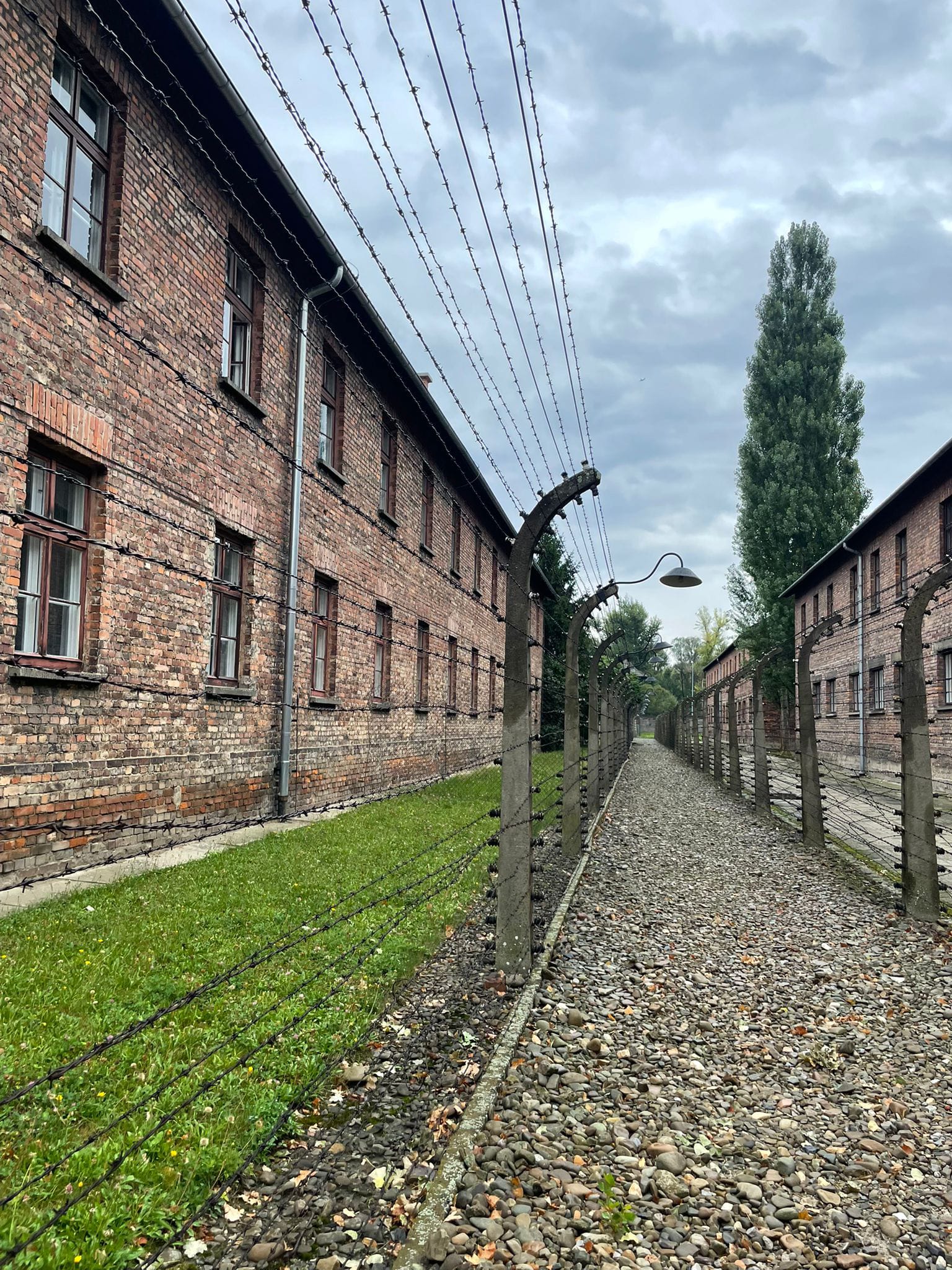 Bild 5 von Gedenkstein 02